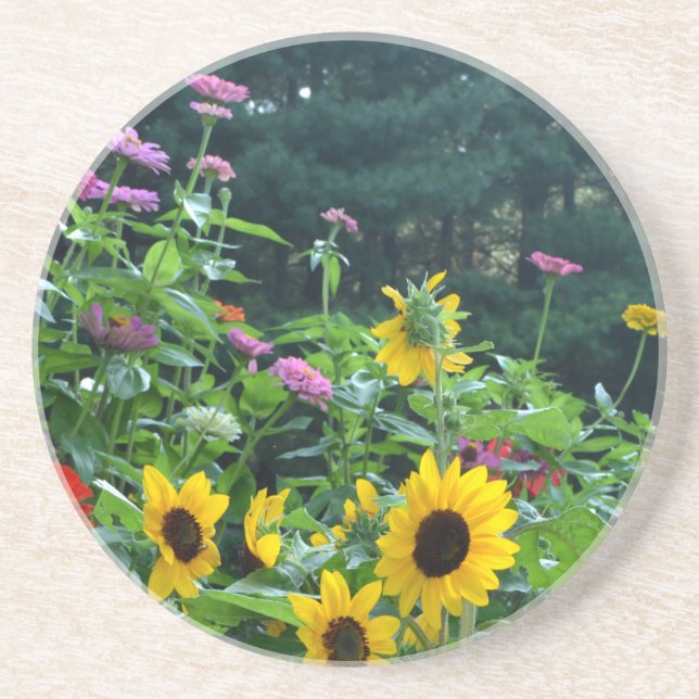 Elegant floral garden sunflowers zinnias daisies  drink coaster (Front)