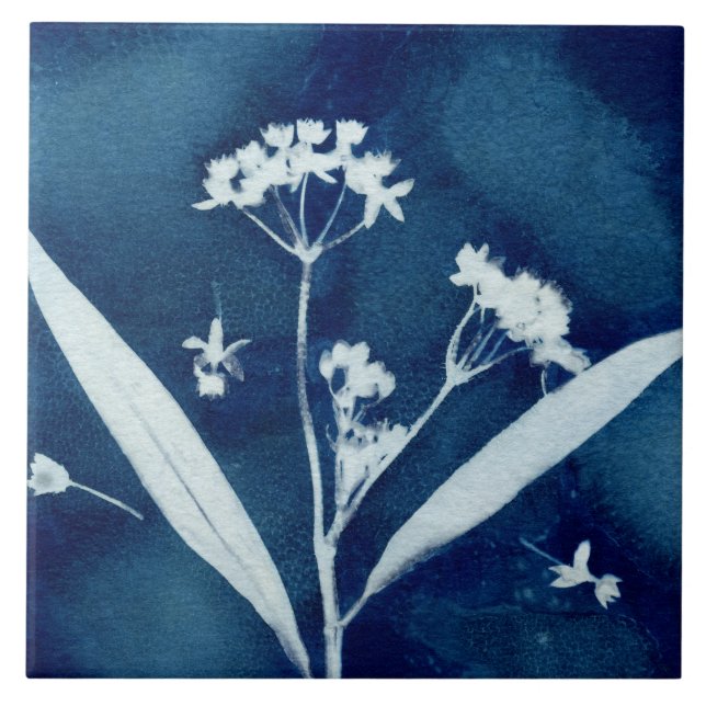 Elegant Floral Milkweed Cyanotype Ceramic Tile (Front)
