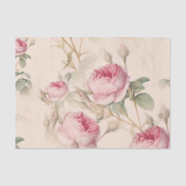 Elegant Floral Pattern of Pink Roses Tissue Paper (Front)