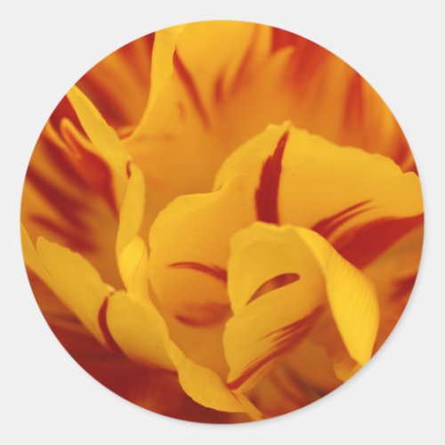 Elegant Floral Red and Gold Monsella Tulips Classic Round Sticker