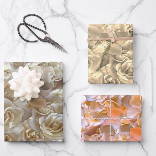 Elegant Floral Rose Petal Pattern  Wrapping Paper Sheets (Front)