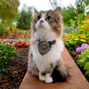 Elegant Floral US Flag Color Cat Portrait Pet Bandana Collar