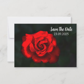 Elegant Flower Red Rose Save the Date