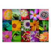 Elegant Flowers and Creatures Floral Pattern (Front Horizontal)