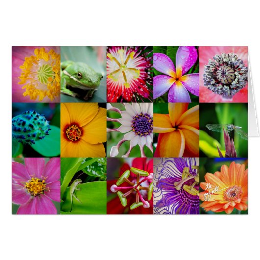 Elegant Flowers and Creatures Floral Pattern Cards (Front Horizontal)