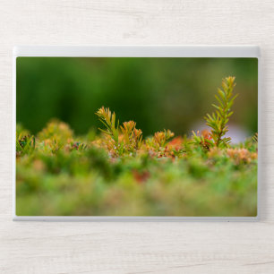 Elegant Flowers Pattern  HP Laptop Skin