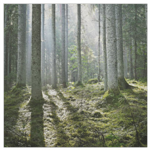 Elegant forest morning scene fabric