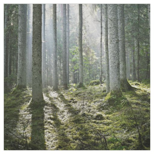 Elegant forest morning scene fabric