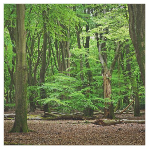 Elegant forest scene fabric