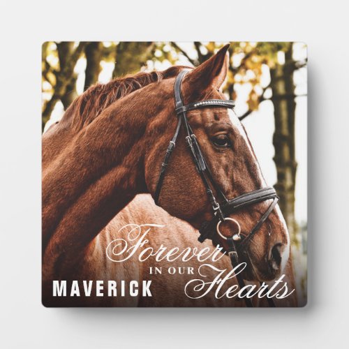 Elegant Forever in our Hearts Horse Memorial Plaque