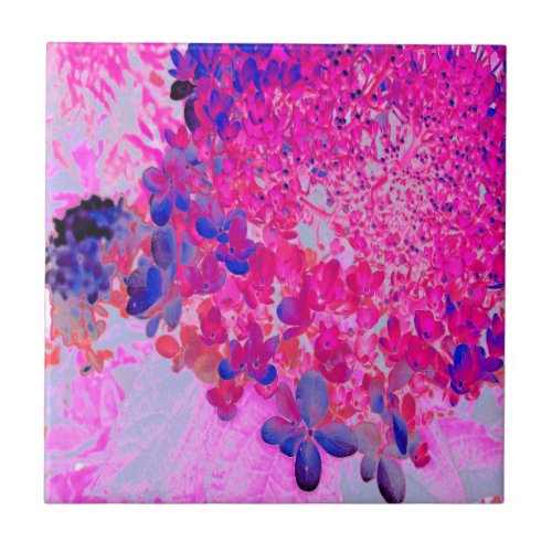 Elegant Fuchsia and Dark Blue Limelight Hydrangea Ceramic Tile