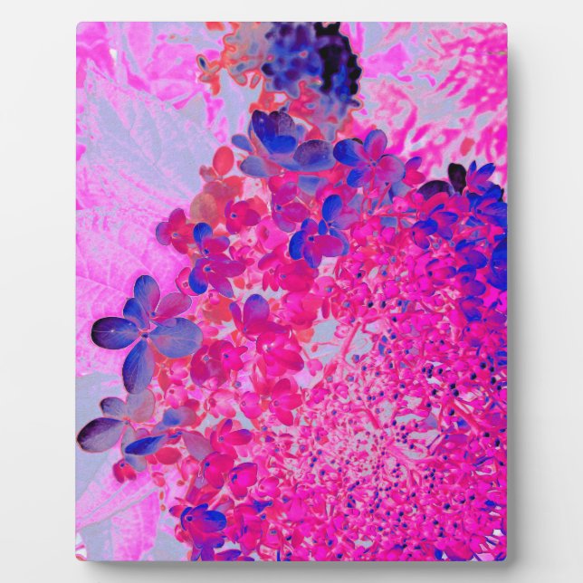 Elegant Fuchsia and Dark Blue Limelight Hydrangea Plaque (Front)