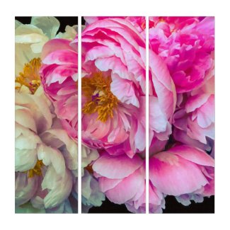Elegant Fuchsia, Pinks and Cream Peonies Triptych