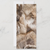 Elegant fur texture (Back)