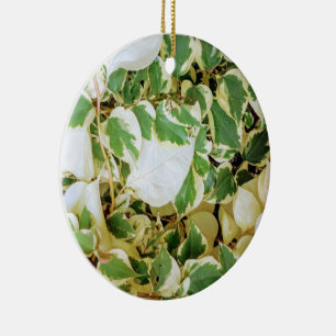 Elegant Garden Rustic Ceramic Ornament