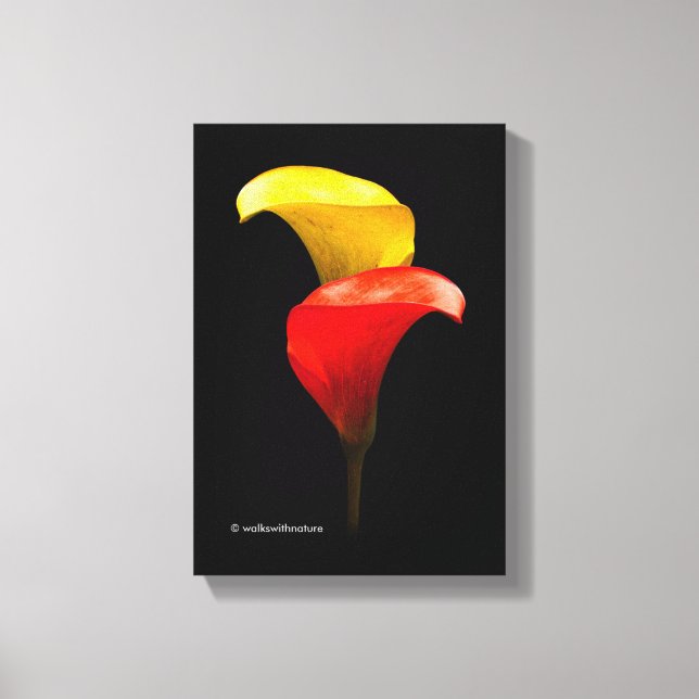 Elegant Gold and Crimson Calla Lilies Canvas Print (Front)