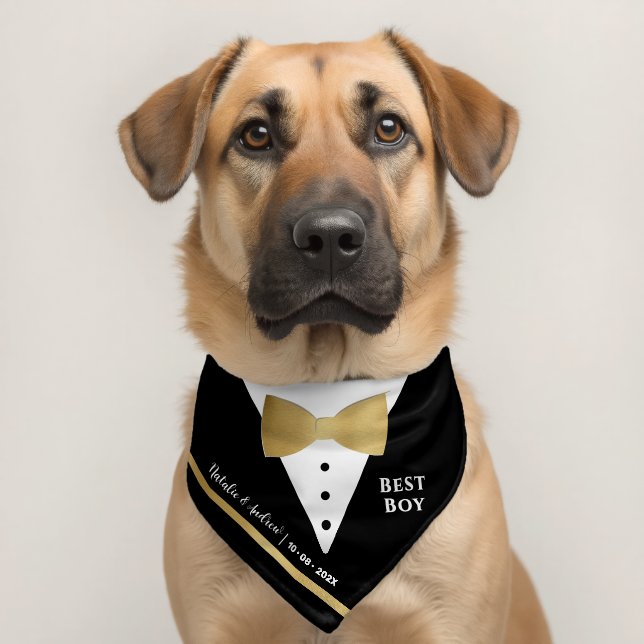 Elegant Gold Bow Tie Tuxedo Pet Wedding Attire   Bandana Collar (Dog 2)