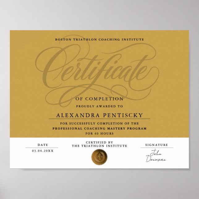 Elegant Gold Certificate Of Completion Achievement Poster (Front)