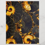 Elegant Golden black Nautilus shell (Front)