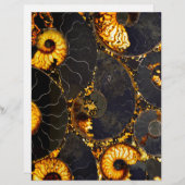 Elegant Golden black Nautilus shell (Front/Back)