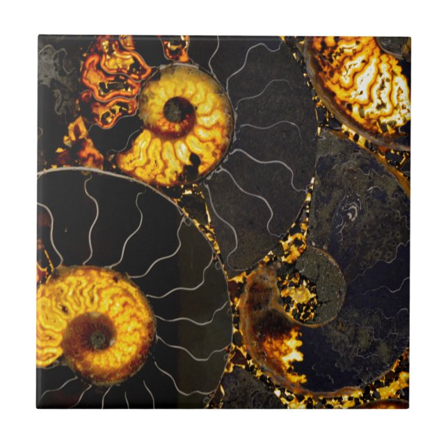 Elegant Golden Nautilus abstract black gold  Tile (Front)