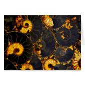 Elegant golden nautilus design (Front Horizontal)