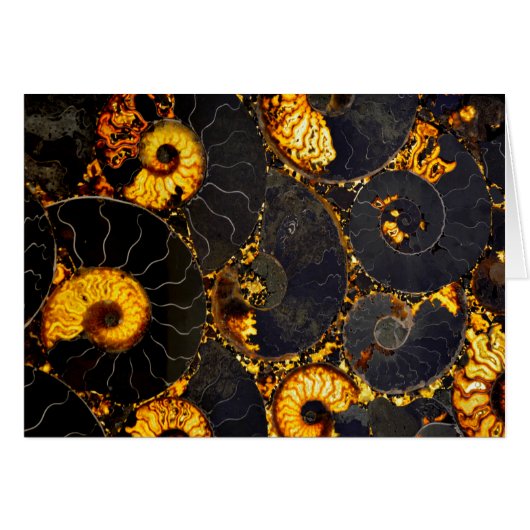 Elegant golden nautilus design cards (Front Horizontal)