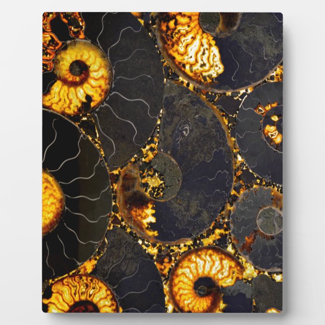 Elegant golden nautilus design plaque (Front)
