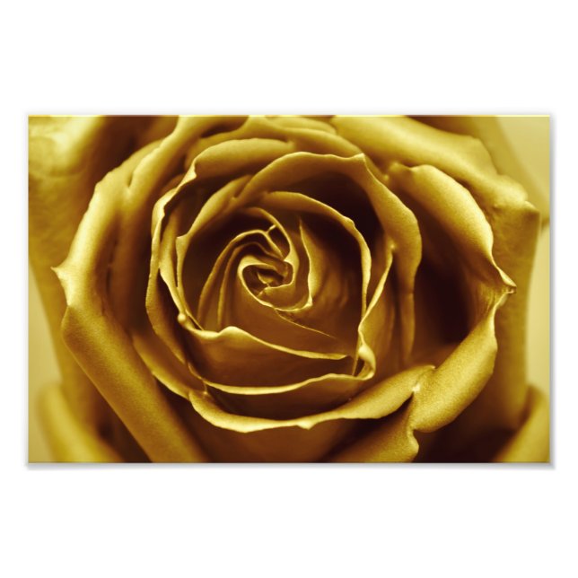 Elegant Golden Rose Photo Print (Front)
