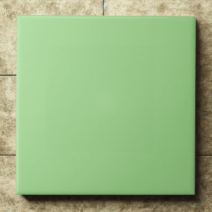 Elegant Granny Smith Apple #a0db8e Accent Ceramic Tile