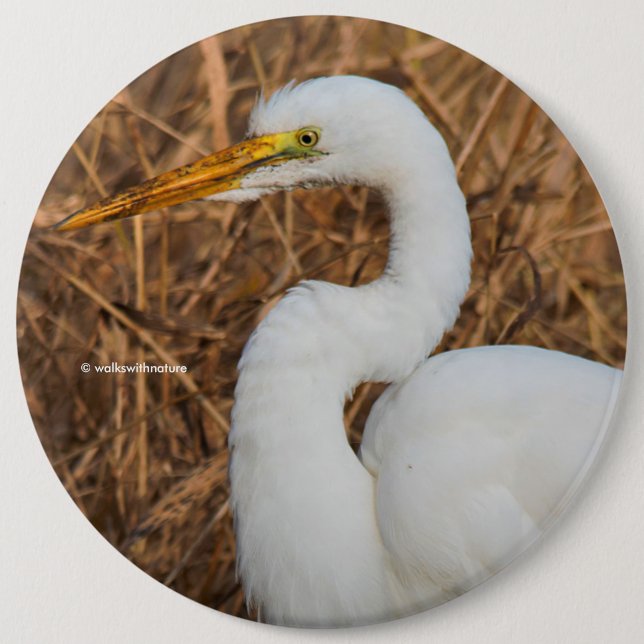 Elegant Great Egret in the Reeds Button (Front)