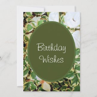 Elegant Green Birthday Wishes  Holiday Card