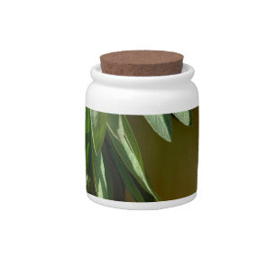 Elegant green botanical leaves Fresh-cut herbs Candy Jar