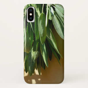 Elegant green botanical leaves Fresh-cut herbs iPhone X Case