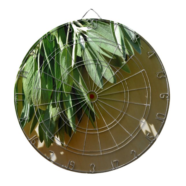 Elegant green botanical leaves Fresh-cut herbs Dart Board (Front)