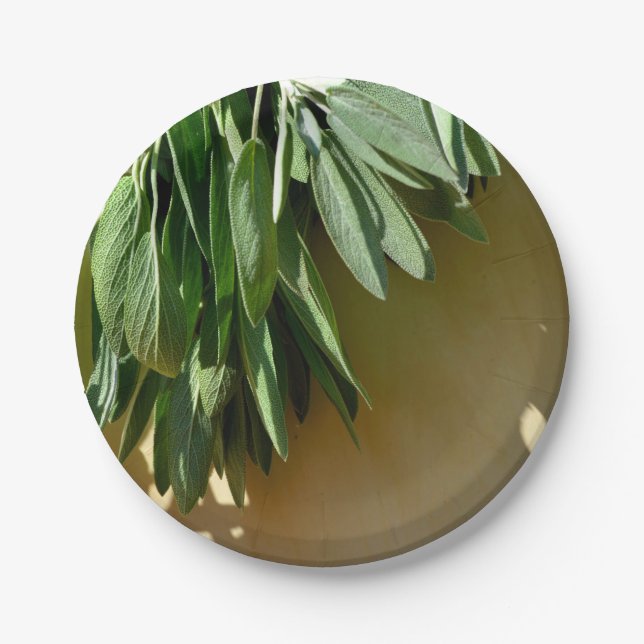 Elegant green botanical leaves Fresh-cut herbs Paper Plates (Front)