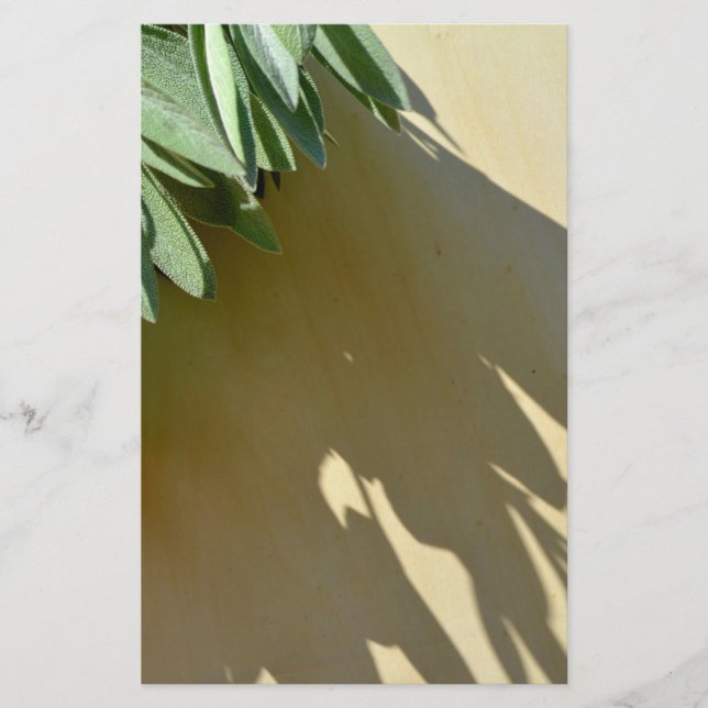 Elegant green botanical leaves Fresh-cut herbs Stationery (Front)