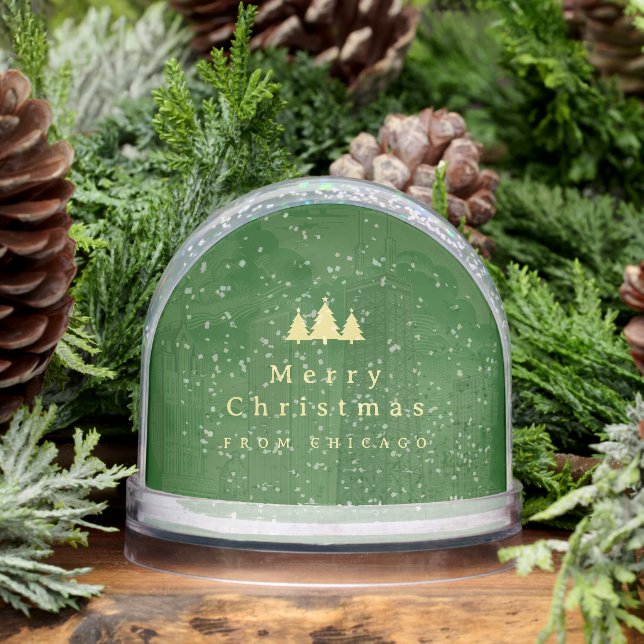 Elegant Green Gold Photo Snow Globe (Winter)