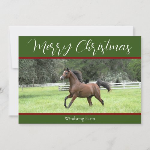 Elegant Green Red Arabian Horse 1 Photo Christmas Holiday Card