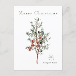 Elegant Greenery Christmas Berries  Holiday Postcard