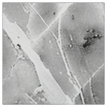 Elegant Grey "Opulent Marble Whirl" Polyester Popl Fabric