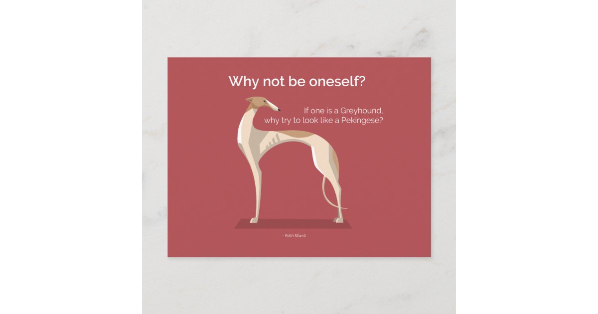 Elegant greyhound inspirational quote postcard Zazzle