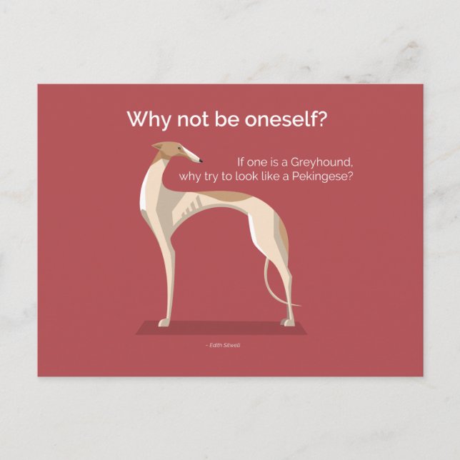 Elegant greyhound inspirational quote postcard (Front)