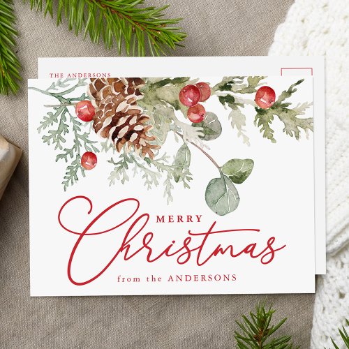 Elegant Holly Berries and Pine Cones Non_Photo Holiday Postcard