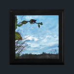 Elegant Holly Christmas,  blue sky Jewelry Box<br><div class="desc">Elegant Holly Christmas,   blue sky Photo by Sandy Closs xmas Christmas holly,  berries, "holly berry""holly berries""elegant christmas" "christmas flowers""christmas floral"blue green white</div>