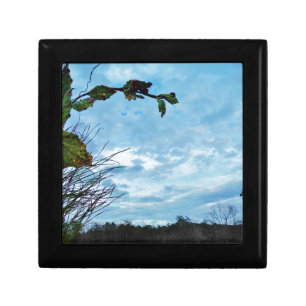 Elegant Holly Christmas, blue sky Jewelry Box