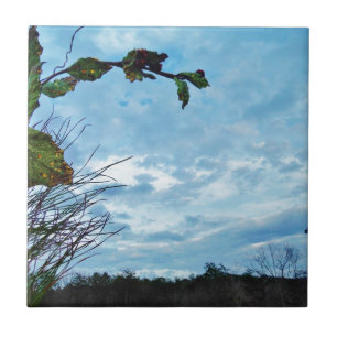 Elegant Holly Christmas, blue sky Tile