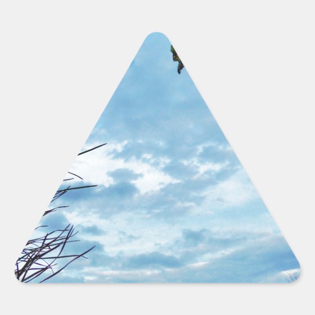 Elegant Holly Christmas,  blue sky Triangle Sticker (Front)