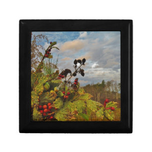 Elegant Holly Christmas, Jewelry Box