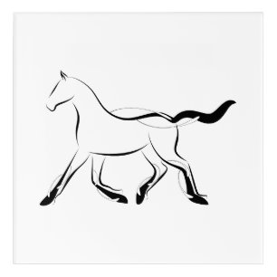 Elegant horse in black color acrylic print